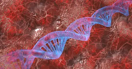 DNA e a biotecnologia