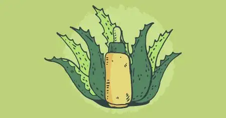 uso de plantas medicinais