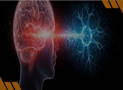 Neurociências