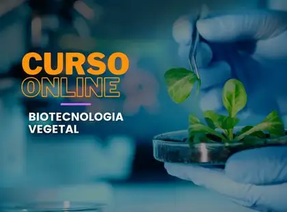 Biotecnologia Vegetal - Cultura de Tecidos  in vitro