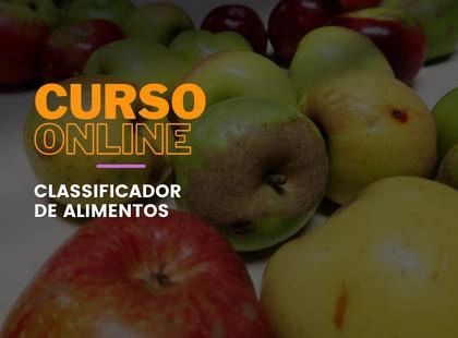 Classificador de Alimentos: Do Básico ao Avançado em Nutrição e Classificação