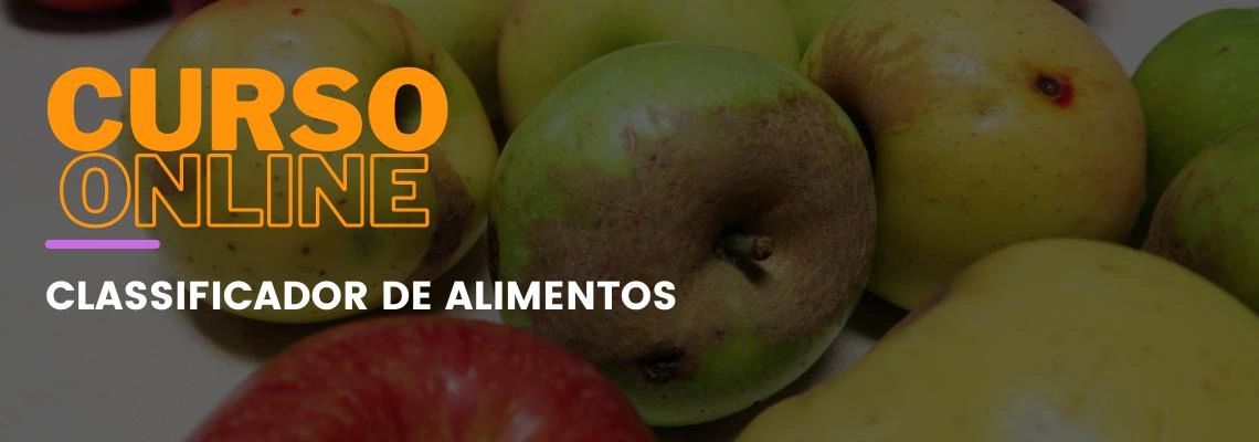 Classificador de Alimentos: Do Básico ao Avançado em Nutrição e Classificação